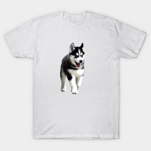 Siberian Husky Puppy Dog T-Shirt